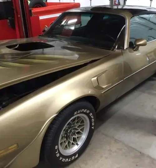 Pontiac Firebird Trans Am screaming chicken