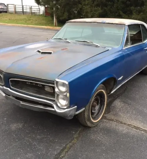 Pontiac GTO survivor